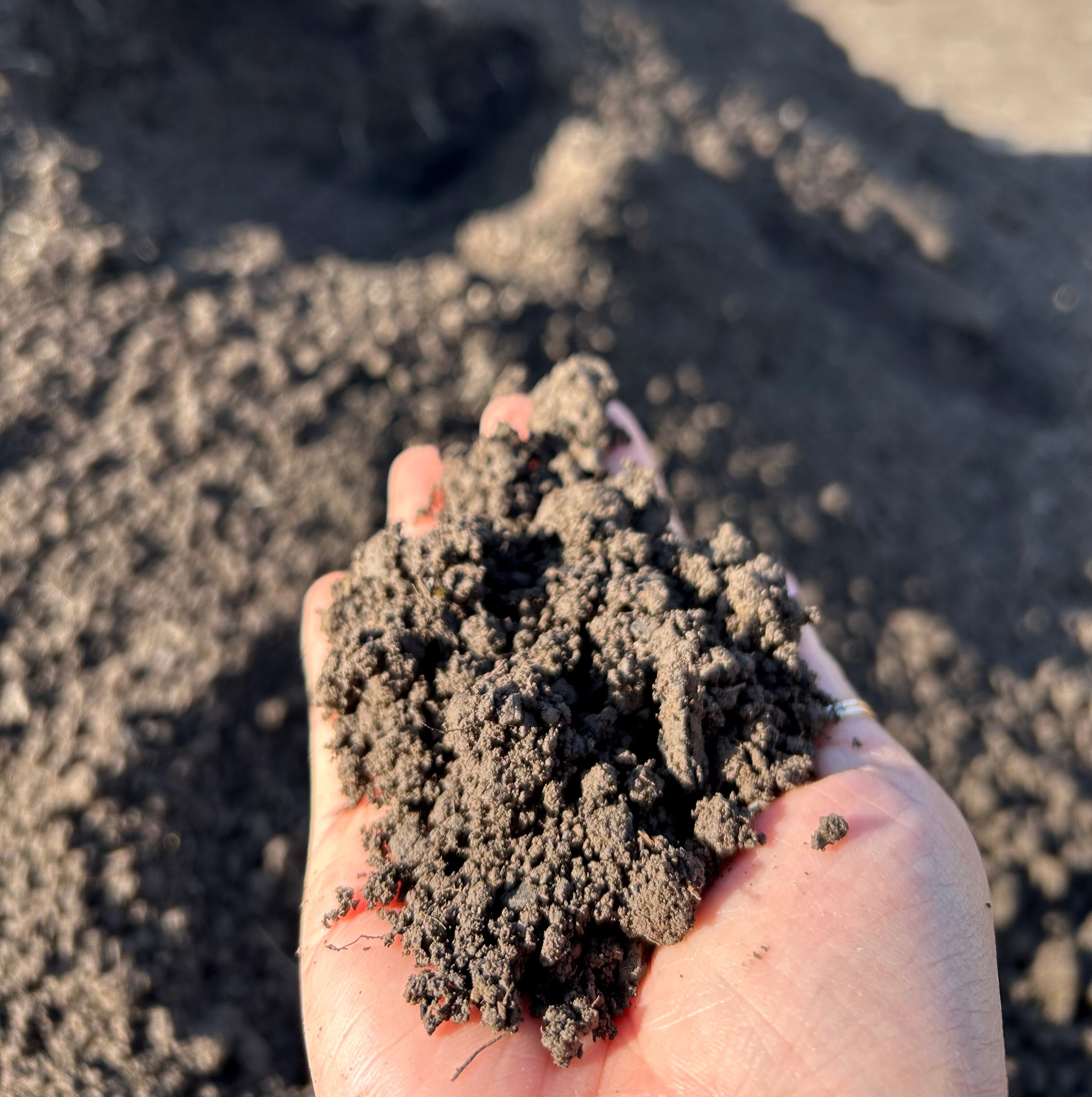 Topsoil